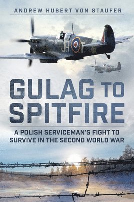 bokomslag Gulag to Spitfire