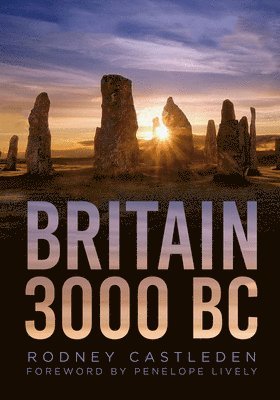 bokomslag Britain 3000 BC