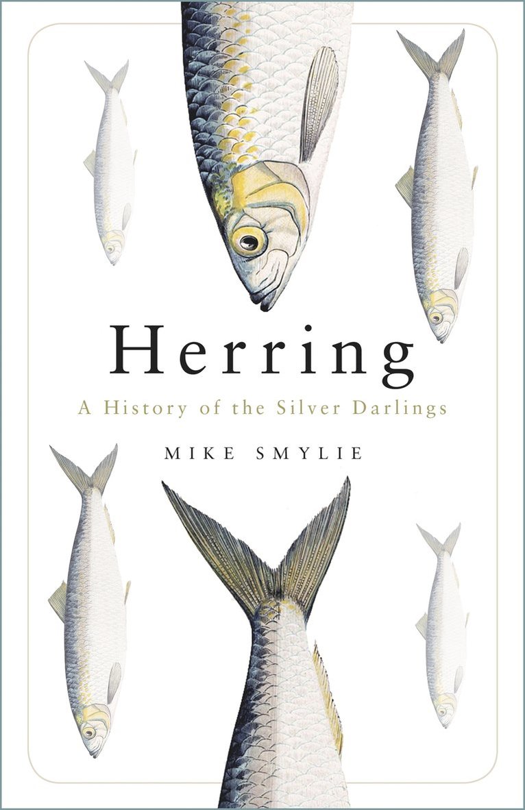 Herring 1