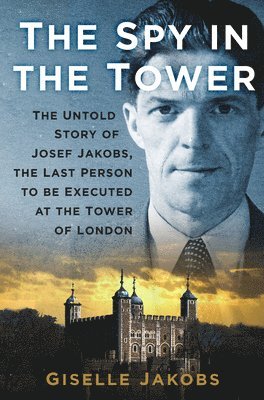 bokomslag Spy in the Tower