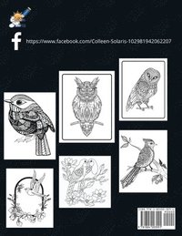 bokomslag Birds Coloring Book