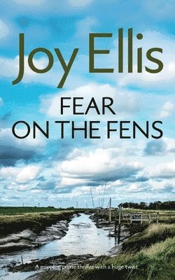 FEAR ON THE FENS a gripping crime thriller with a huge twist 1