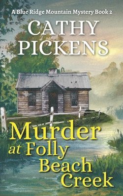 bokomslag MURDER AT FOLLY BEACH CREEK a Blue Ridge Mountain Mystery Book 2