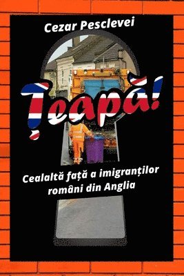 Țeapă! Cealaltă față a imigranților români din Anglia