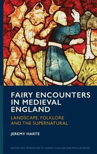bokomslag Fairy Encounters in Medieval England