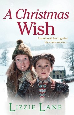 A Christmas Wish 1