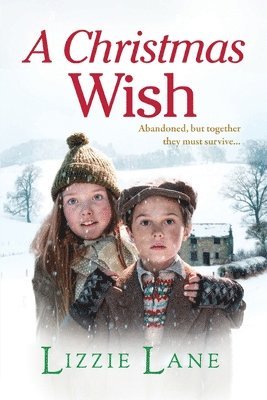 A Christmas Wish 1