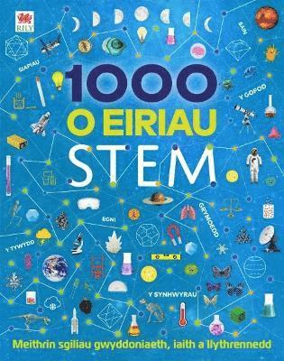 bokomslag 1000 o Eiriau Stem