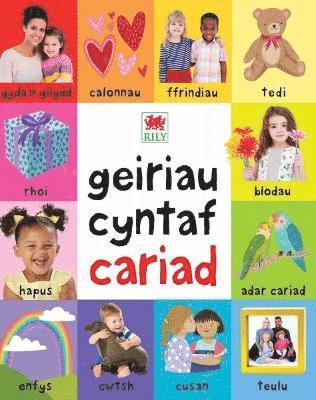 Priddy books - Geiriau Cyntaf Cariad, Inbunden