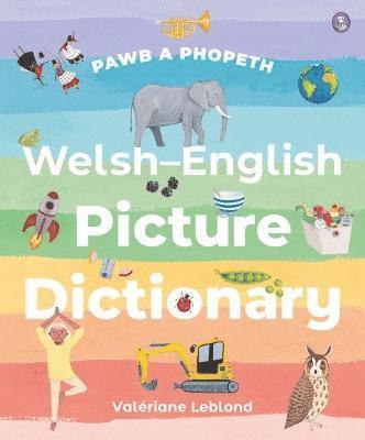 bokomslag Pawb a Phopeth - Welsh / English Picture Dictionary
