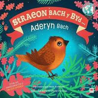 bokomslag Yr Aderyn Bach / The Little Bird (Cyfres Straeon Bach y Byd)