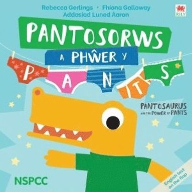 bokomslag Pantosorws a Ph?er y Pants