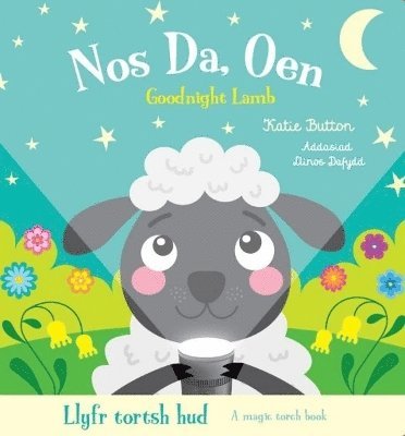 bokomslag Llyfr Tortsh Hud: Nos Da Oen / Magic Torch Book: Goodnight Lamb