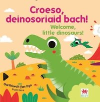 bokomslag Croeso, deinosoriaid bach! / Welcome, little dinosaurs!