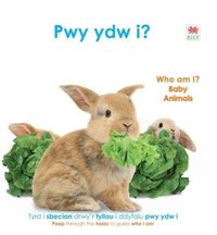 bokomslag Pwy Ydw i? Anifeiliaid Bach / Who Am I? Baby Animals