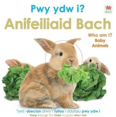 bokomslag Pwy Ydw i? Anifeiliaid Bach / Who Am I? Baby Animals