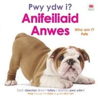 bokomslag Pwy ydw i? Anifeiliaid Anwes / Who Am I? Pets