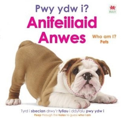 Pwy ydw i? Anifeiliaid Anwes / Who Am I? Pets 1