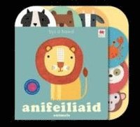 bokomslag Cyfres Bys a Bawd: Anifeiliad / Animals