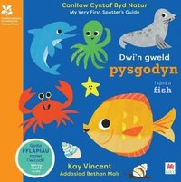 bokomslag Dwi'n Gweld Pysgodyn / I Spot a Fish