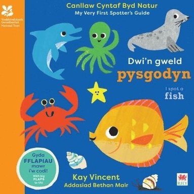 bokomslag Dwi'n Gweld Pysgodyn / I Spot a Fish