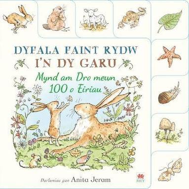 bokomslag Dyfala Faint Rydw i'n dy Garu: Mynd am Dro mewn 100 o Eiriau