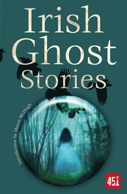 bokomslag Irish Ghost Stories