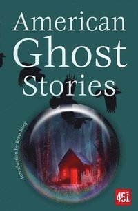 bokomslag American Ghost Stories