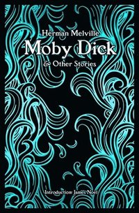 bokomslag Moby Dick