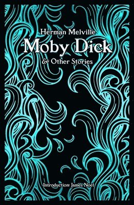 bokomslag Moby Dick