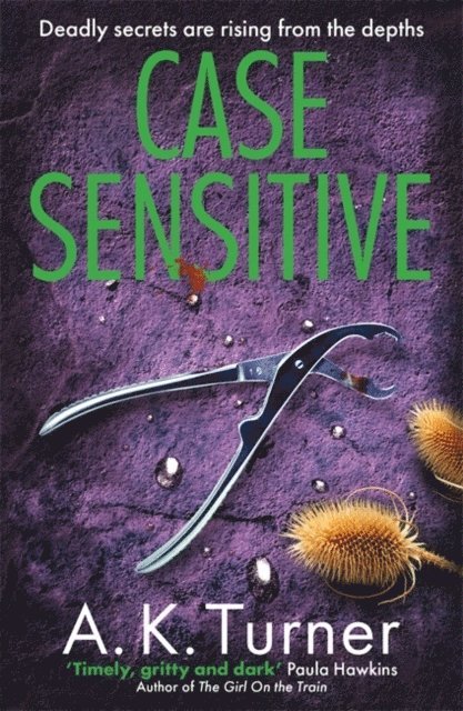 Case Sensitive 1