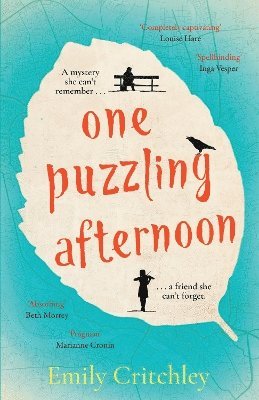 One Puzzling Afternoon