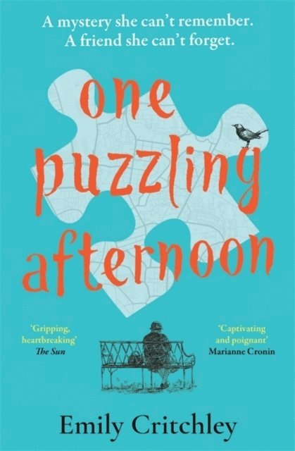 One Puzzling Afternoon 1