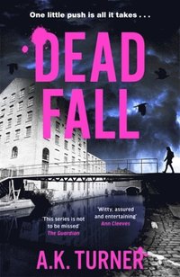 bokomslag Dead Fall