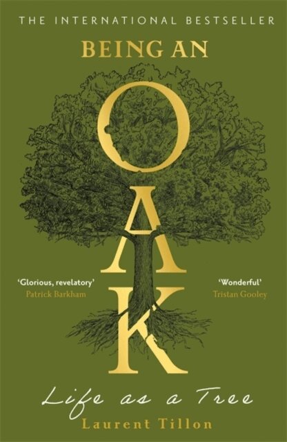 Laurent Tillon - Being an Oak, Häftad