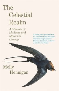bokomslag The Celestial Realm: SHORTLISTED FOR THE SUNDAY INDEPENDENT NEWCOMER OF THE YEAR IRISH BOOK AWARDS
