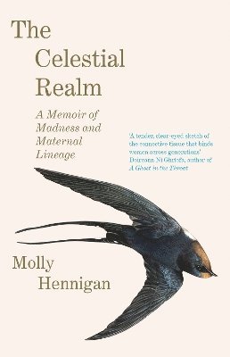 The Celestial Realm: SHORTLISTED FOR THE SUNDAY INDEPENDENT NEWCOMER OF THE YEAR IRISH BOOK AWARDS 1