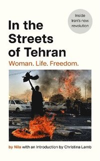 bokomslag In the Streets of Tehran
