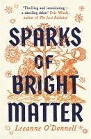 bokomslag Sparks Of Bright Matter