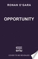 bokomslag Opportunity