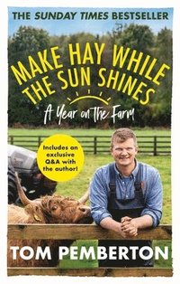 bokomslag Make Hay While the Sun Shines