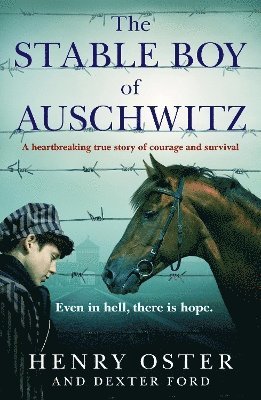 The Stable Boy of Auschwitz 1