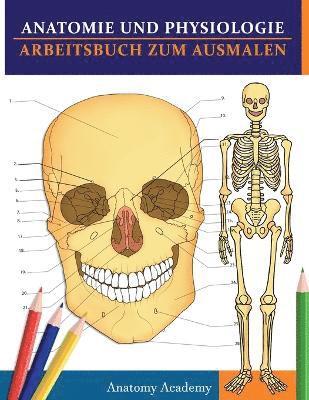 Anatomie und Physiologie Arbeitsbuch zum Ausmalen 1