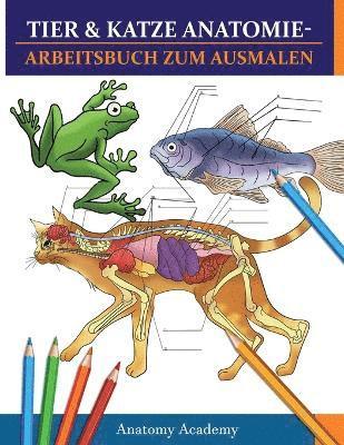 bokomslag Tier & Katze Anatomie-Arbeitsbuch zum Ausmalen