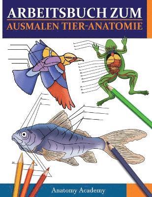 Arbeitsbuch Zum Ausmalen Tier-Anatomie 1
