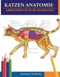 bokomslag Katzen AnatomieArbeitsbuch zum Ausmalen