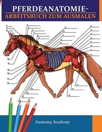 bokomslag Pferdeanatomie-Arbeitsbuch zum Ausmalen