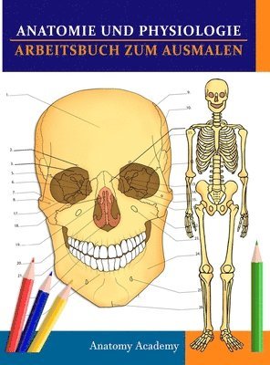 bokomslag Anatomie und Physiologie Arbeitsbuch zum Ausmalen