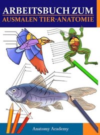 bokomslag Arbeitsbuch Zum Ausmalen Tier-Anatomie