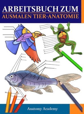 Arbeitsbuch Zum Ausmalen Tier-Anatomie 1